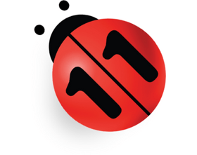 N11