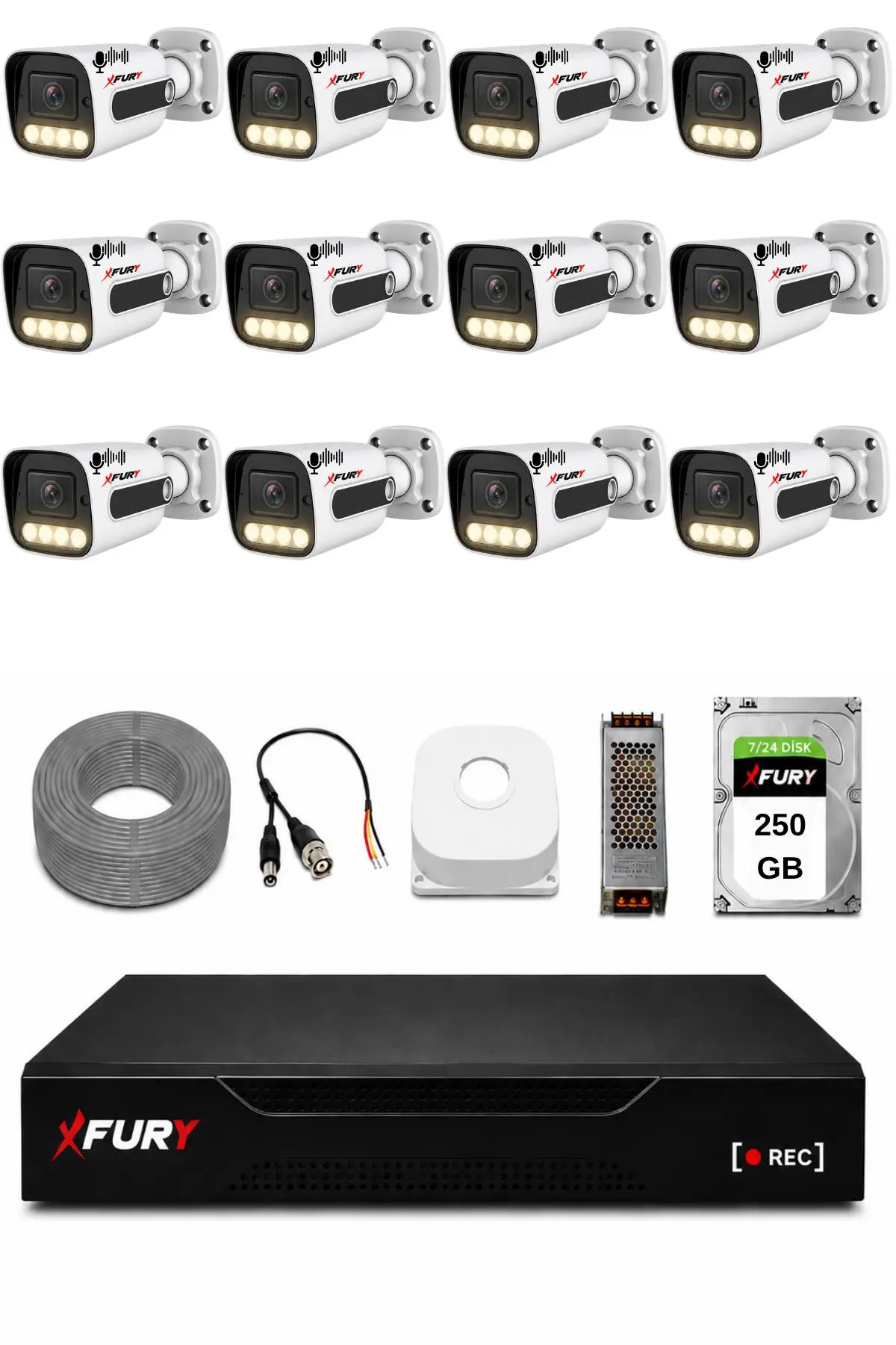 FURY 12 Kameralı Güvenlik Kamera Seti Sesli 4 Warm LED Gece Renkli Görüş 250 GB HDD 5500s