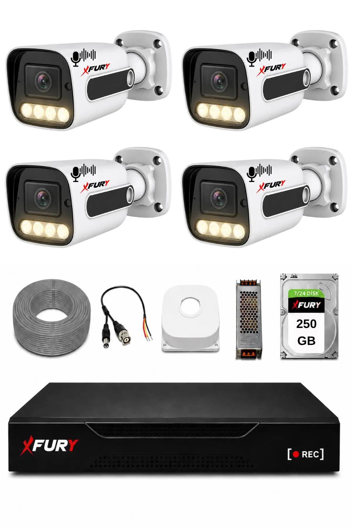 FURY 4 Kameralı Güvenlik Kamera Seti Sesli 4 Warm LED Gece Renkli Görüş 250 GB HDD 5500s