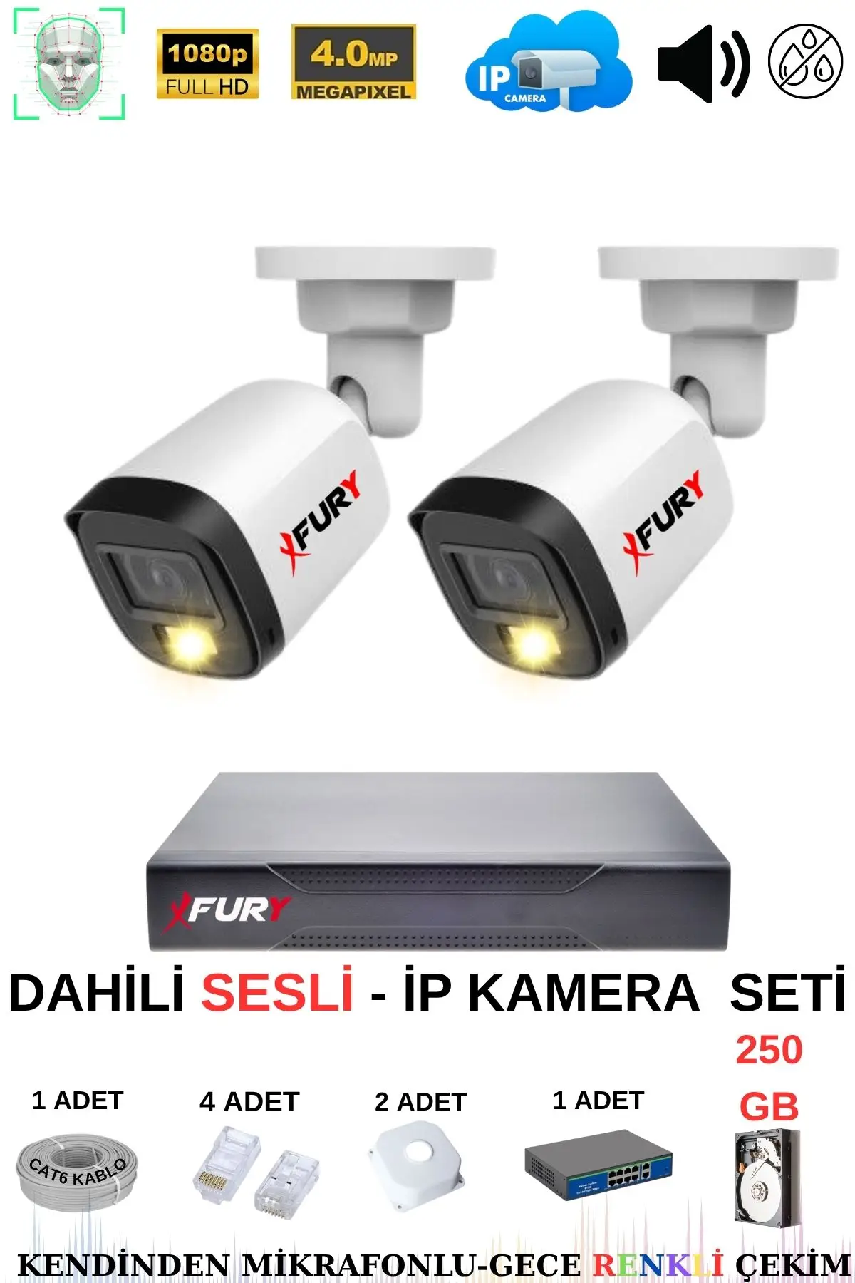 FURY Ip Güvenlik Kamera Seti 2 Kameralı Sesli 4mp Gece Renkli Su Geçirmez Ip5515s 250gb